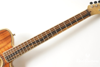 American Acoustasonic Telecaster Exotic Koa